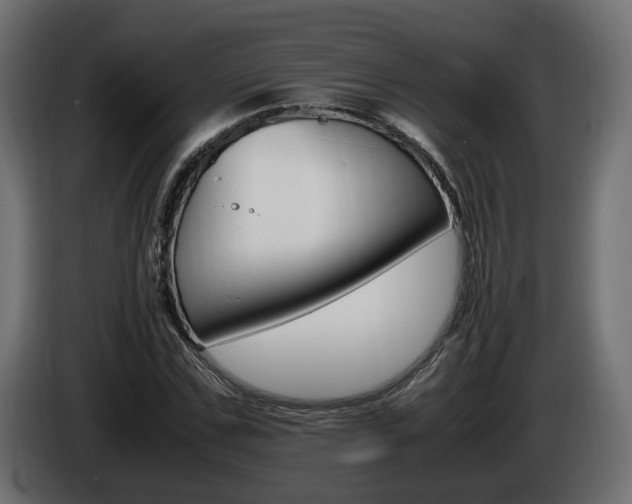 X0000085840971200703231439