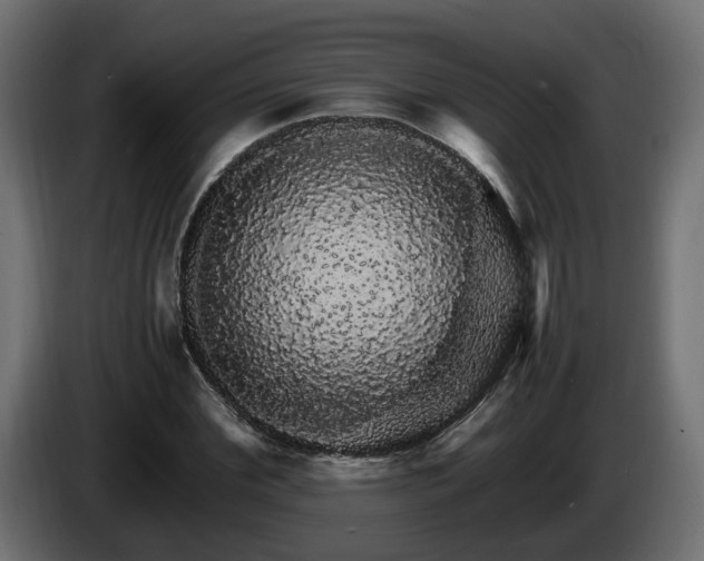 X0000085840972200703231439
