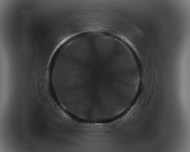 X0000085840975200703231438