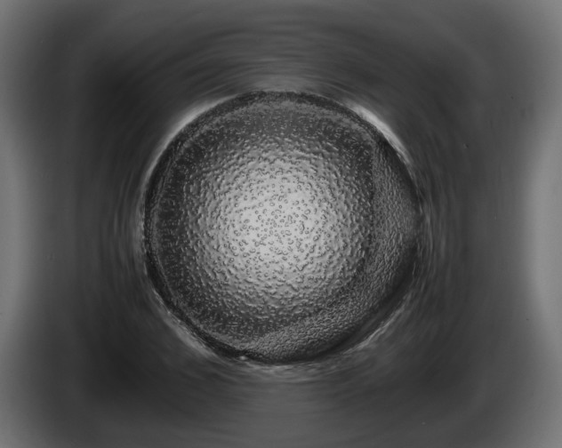 X0000085840976200703231438