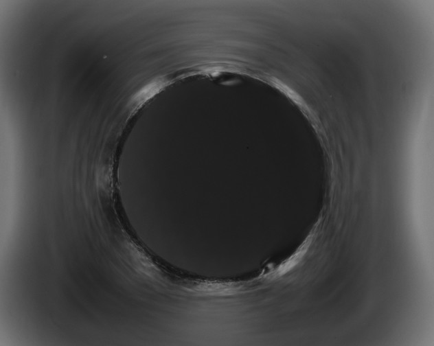 X0000085840977200703231438