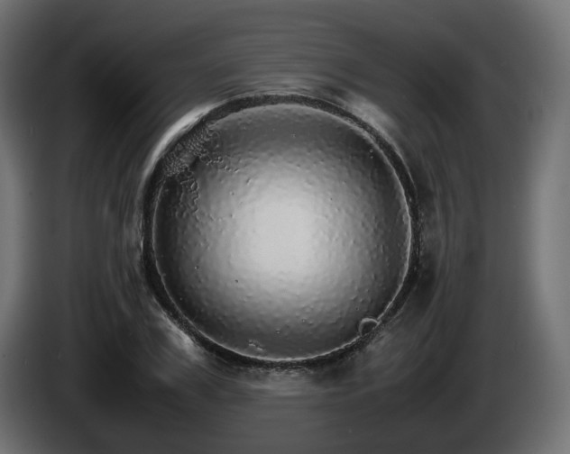X0000085840979200703231438