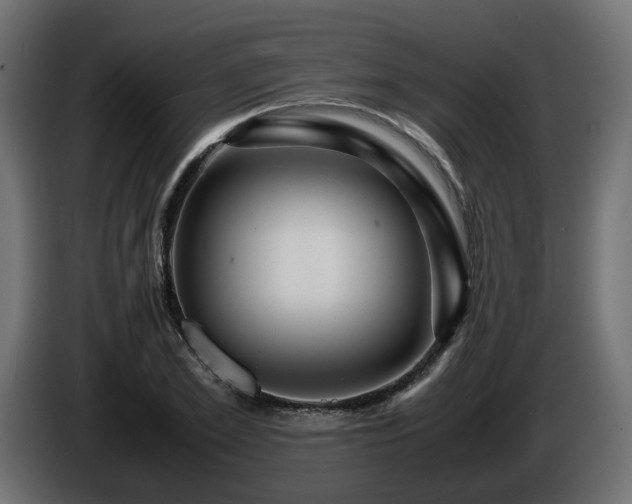 X0000085840981200703231438