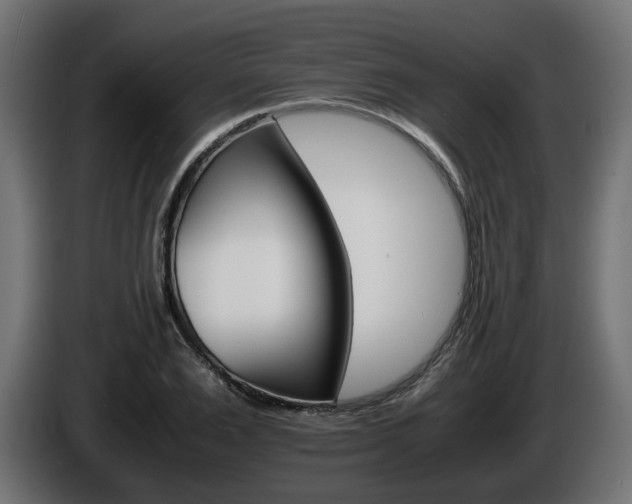 X0000085840983200703231438