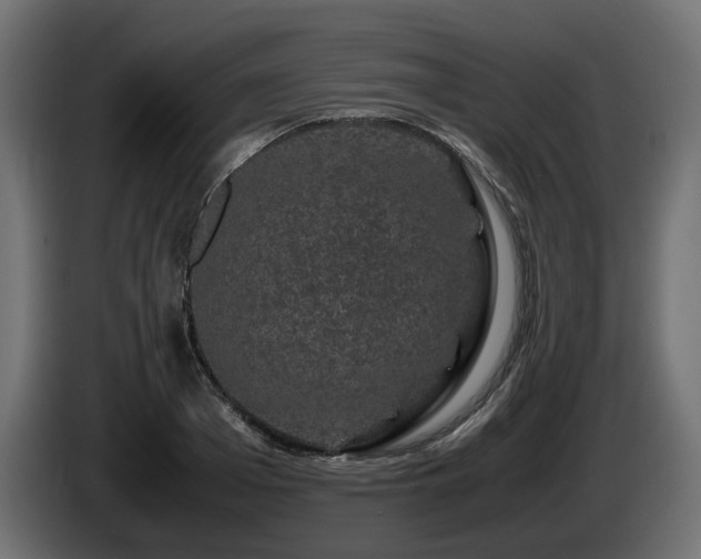 X0000085840985200703231438