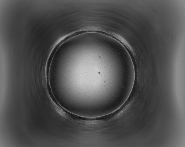 X0000085840988200703231438
