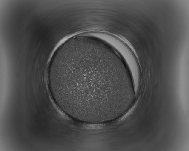 X0000085840989200703231438