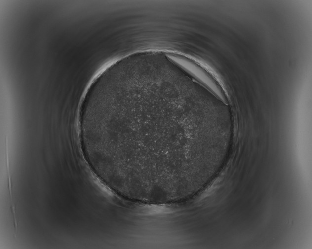 X0000085840990200703231438