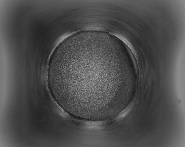 X0000085840992200703231438