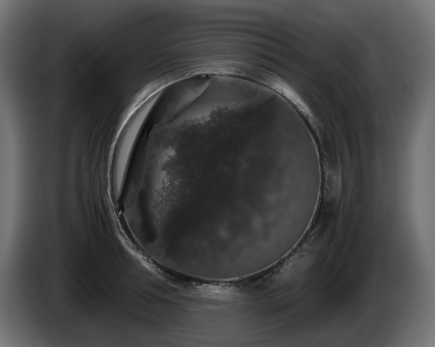 X0000085840994200703231438