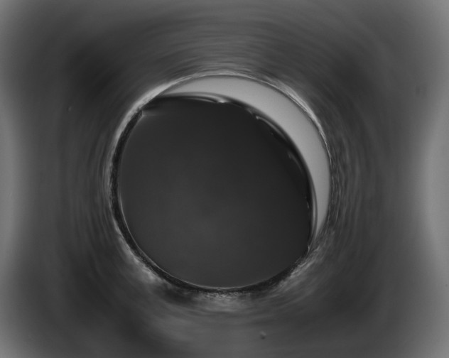 X0000085840995200703231438