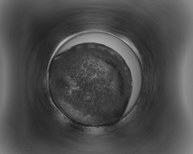 X0000085840996200703231438