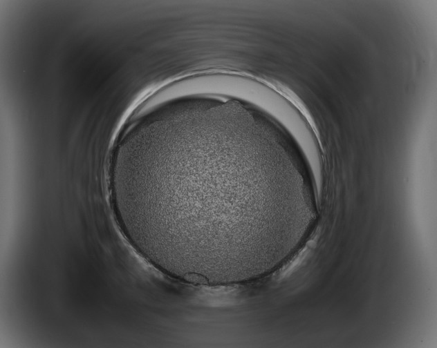 X0000085840997200703231438