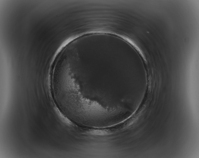 X0000085840998200703231438