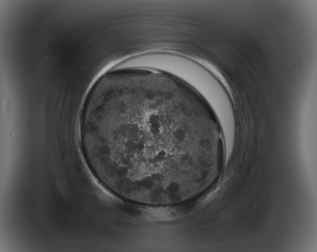 X0000085840999200703231438