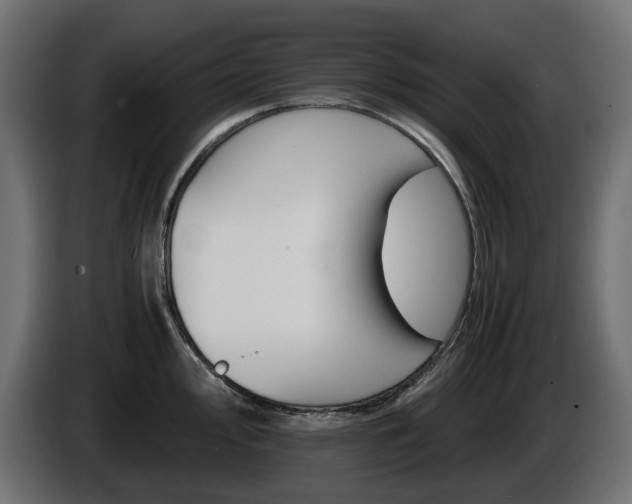 X0000085841000200703231438