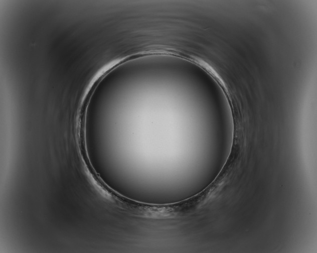 X0000085841003200703231438