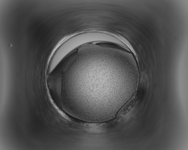 X0000085841005200703231438