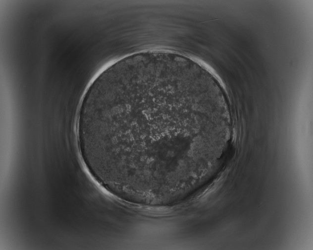 X0000085841007200703231438