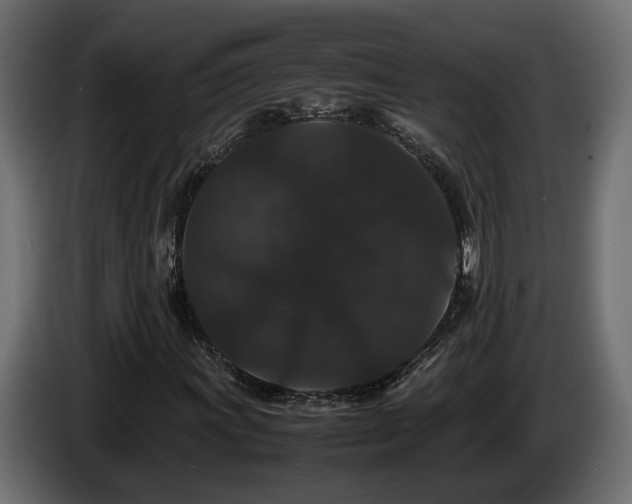 X0000085841011200703231437