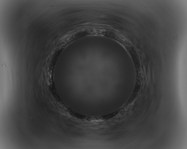 X0000085841013200703231437