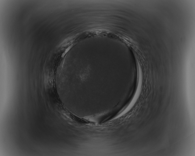 X0000085841014200703231437