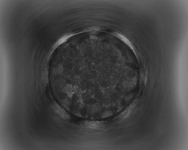X0000085841019200703231437