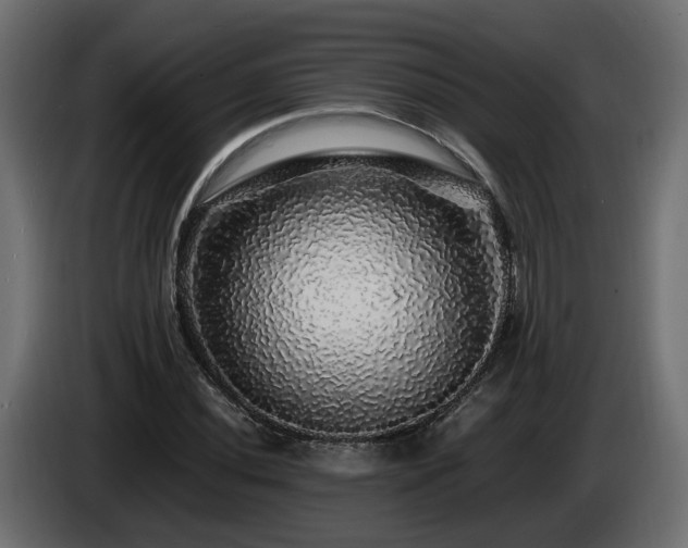 X0000085841020200703231437