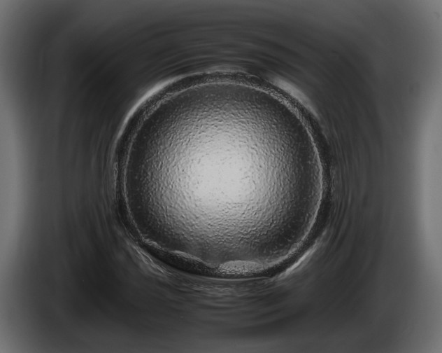 X0000085841021200703231437