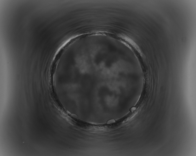 X0000085841023200703231438