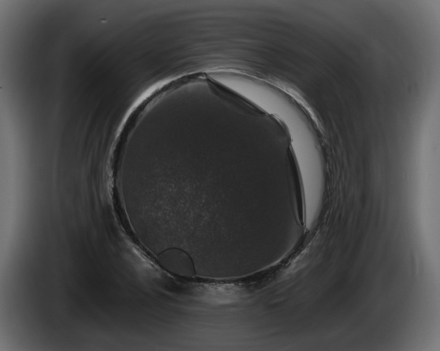 X0000085841024200703231438