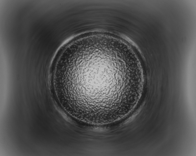 X0000085841029200703231438