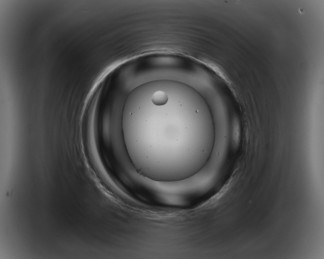 X0000085841030200703231438