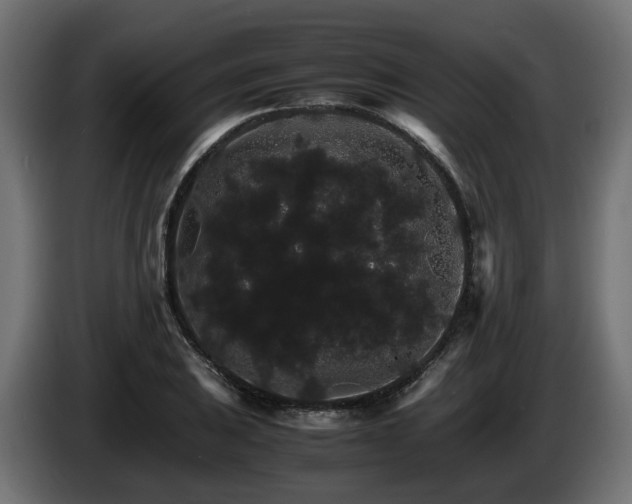 X0000085841031200703231438