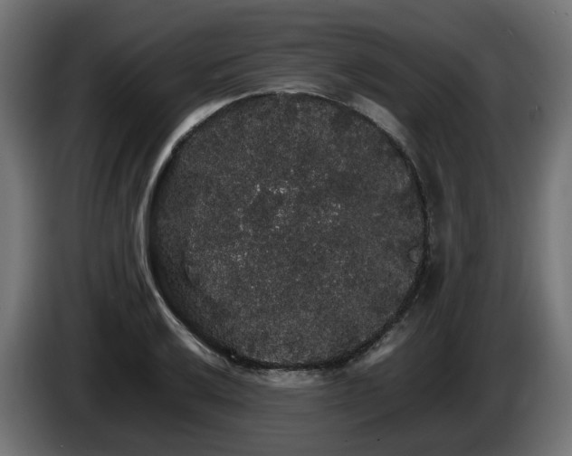X0000085841032200703231438