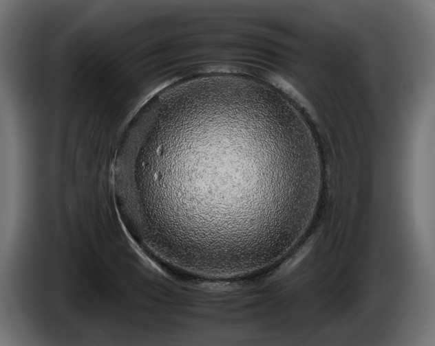 X0000085841033200703231438