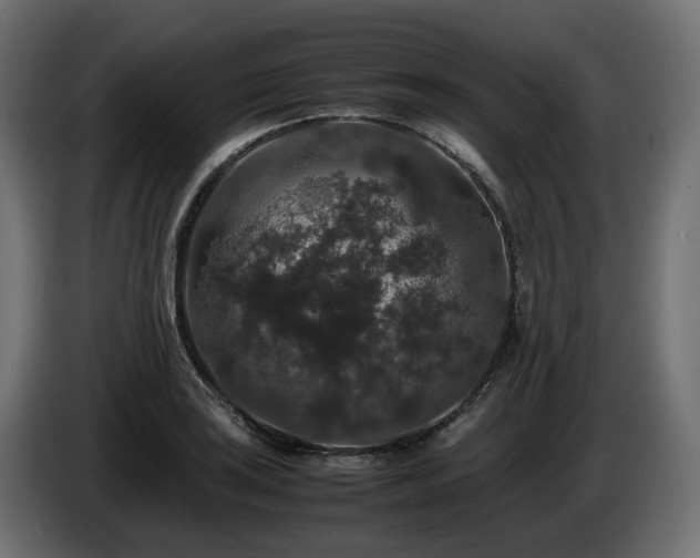 X0000085841035200703231438