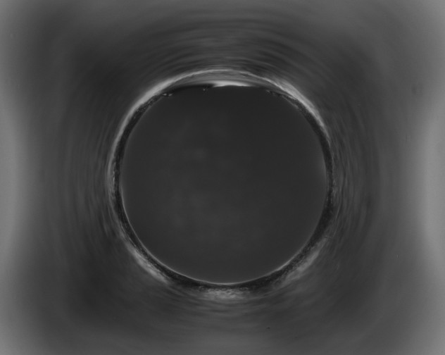 X0000085841037200703231438