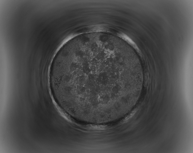 X0000085841039200703231438
