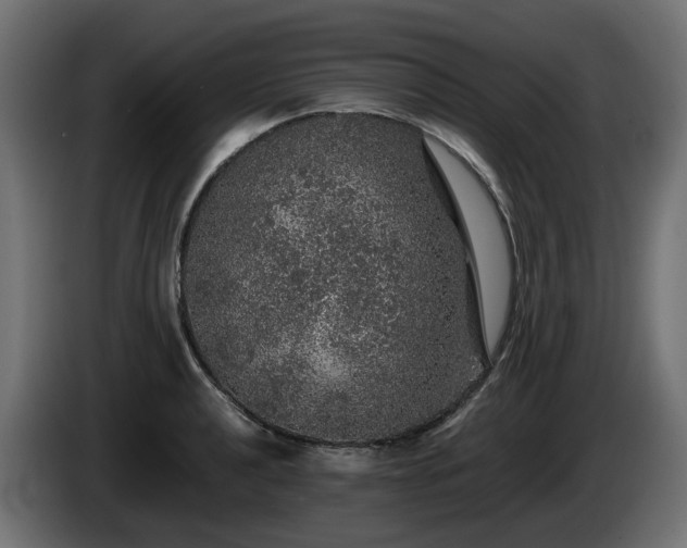 X0000085841040200703231438