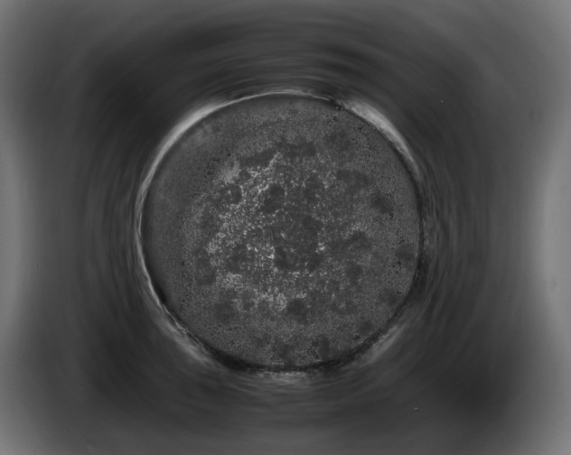 X0000085841043200703231438