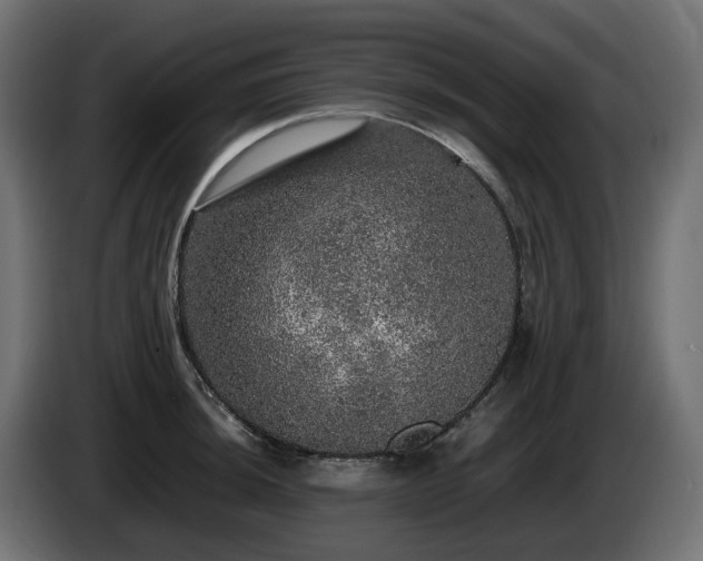 X0000085841044200703231438