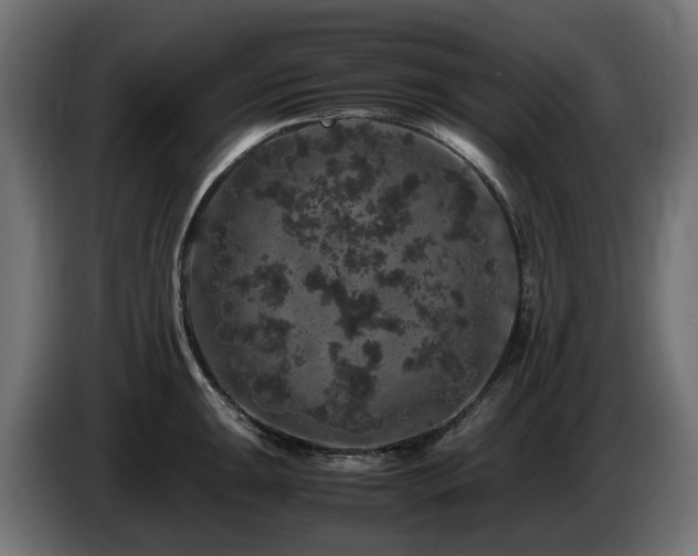 X0000085841047200703231438