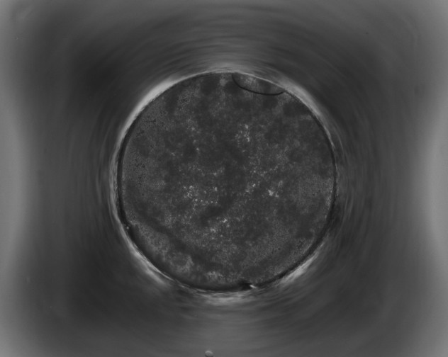 X0000085841048200703231438