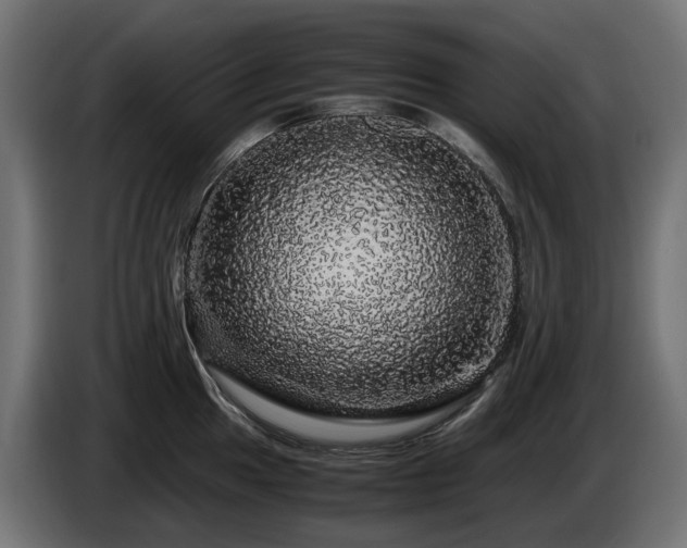 X0000085841049200703231438