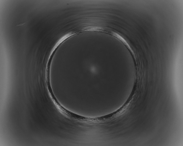 X0000085841050200703231438