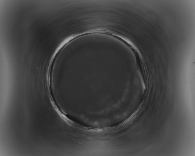X0000085841054200703231438