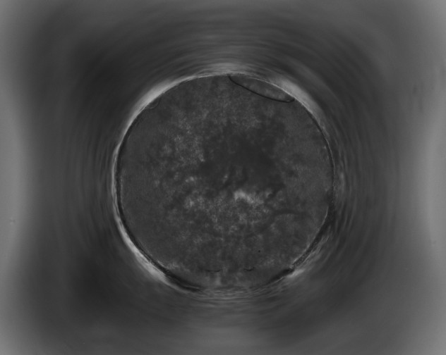 X0000085841055200703231438