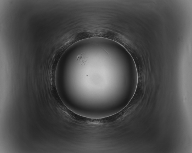 X0000085841058200703231437