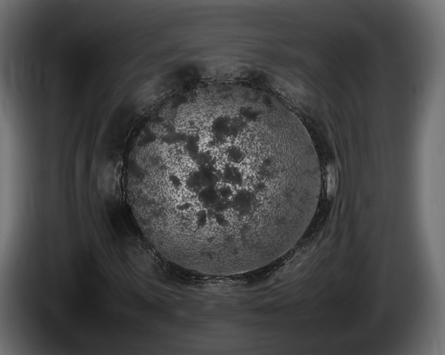 X0000085841059200703231437